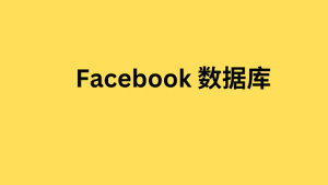 Facebook 数据库